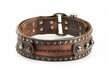© VolumeThings - Brown leather collar with rivets on white background