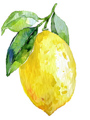 Wall Mural - Watercolor yellow lemon  illustration isolated on white