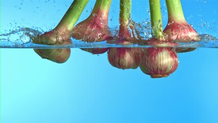 Poster - Super slow motion fresh garlic falls into the water with splashes. High quality FullHD footage