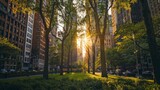 Fototapeta  - Sunlight Streaming Through City Park Trees