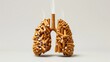 human lungs made entirely of cigarettes