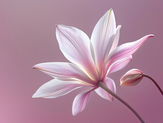 Wall Mural - A pink flower with a white center is the main focus of the image