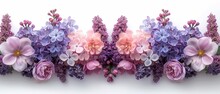 Isolated White Background With Lilacs, Dog Roses (briar) And Magnolia Flowers. Design Element.