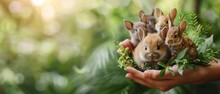 A Group Of Wild Animals In Human Hands On A Green Background With Copy Space. Save Our Planet, Protect Nature, And Ensure Biological Diversity.