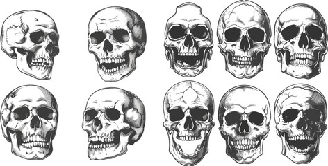 human skeleton dead head halloween engraving vector set