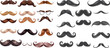 Gentleman moustache or barbershop moustaches hairstyle