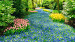 Artificial river made with flowers in landscape design of parks and shady gardens. A river of blue hyacinths in a forest garden in Keukenhof, Netherlands. Original landscape ideas with bulb flowers.