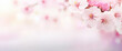 light  flower blossom blur bokeh background