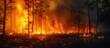 Blaze of Destruction: Wildfire Havoc