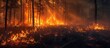 Wildfire's Wrath: Nature's Scorching Fury