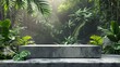 Box stone podium product in a serene view of a misty tropical jungle, bathed in soft natural light with sunbeams filtering through the dense, lush green foliage.