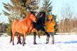 Liberty horses synchronously perform a Spanish walk at the request of a man in a field in winter