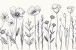 Line art illustrations of various plants and flowers for elegant