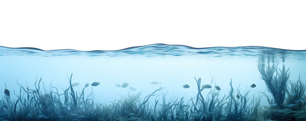 Wall Mural - Serene underwater scene cut out