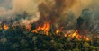 A devastating wildfire engulfs a lush forest: a powerful display of nature's fury and beauty amid chaos