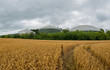 Weizenfeld vor einer Biogasanlage zur Stromerzeugung und Energiegewinnung