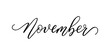 November - Handwritten inscription in calligraphic style on a white background. Vector illustration