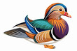mandarin duck two legs vector illustration