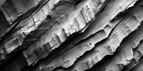 Fototapeta Przestrzenne - Bark texture close-up perspective, presented in a classic white and black color scheme.