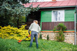 Woman is cutting grass with string trimmer at her rural wooden cottage. Lawn care in yard in spring
