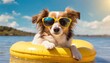 Adorable dog lounging on a yellow float in the pool, wearing stylish sunglasses under the sunny sky