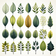 Set of vector leaves and branches. Collection of hand drawn botanical elements.