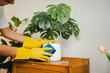 Young housewife is cleaning dust with a microfiber cloth in the living room. Housekeeping concept