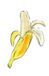 Banana painted with watercolors on white background. Colored watercolor fruit, yellow banana	