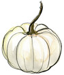 White pumpkin painted with watercolors on a white background. Colored watercolor 