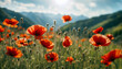 Red poppy. Poppy flowering. Mountain landscape with blooming red poppy. Panorama of flowering mountain meadows. Selective focus. AI generated