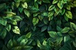 Vibrant green eco-friendly background, lush foliage texture with copyspace, healthy environment concept illustration