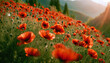 Red poppy. Poppy bloom at sunset. Mountain landscape with blooming red poppy. Mountain panorama. Selective focus. AI generated