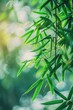 Whispers of Serenity: Bamboo Leaves Dancing in Soft Green Light - Generative AI