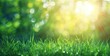 Sunny Serenity: Dew-Kissed Green Bliss in the Light of Spring - Generative AI