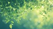 Green leaves background with blurred bokeh light effect, spring and summer nature concept banner 