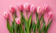 Beautiful pink tulips on pink background, flat lay. Greeting card with beautiful tulips on Mother's Day.