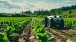 A robotic planting system, demonstrating the technology's ability to improve crop yields and reduce labor costs,