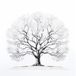 © Asha.1in - tree on white background