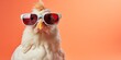 Chicken hen wearing glasses, cute furry animals, silly animal antics. To be used as funny animal banner and modern farm. Isolated on solid pastel background with a lot of copy space