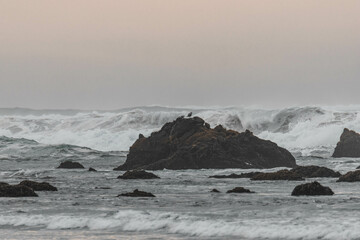 Sticker - some rocks in the water and waves with birds on them