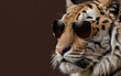 tiger with dark glasses, on a brown background, a copy of the space
