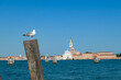 Seagull sitting on wooden pole with scenic view over Venetian lagoon in Venice, Veneto, Northern Italy, Europe. Reflection in water and tranquil atmosphere. Looking at Island of San Giorgio Maggiore