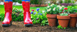A child stands in red boots next to the flower beds.