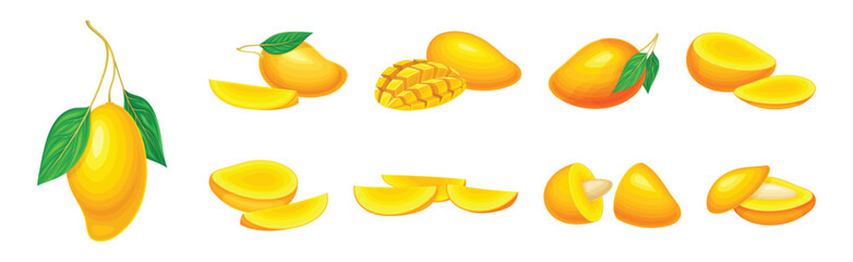 Wall Mural - Mango Fruit with Fresh Juicy Pulp and Rind Vector Set