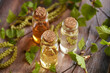© Madeleine Steinbach - Three bottles of essential oil with birch tree branches with catkins and young leaves harvested in spring