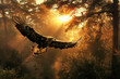 Majestic eagle soaring at sunset, in a forest background, Beautiful Eagle. Golden eagle head detail. Aquila chrysaetos.