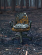Remains Of An Office Chair After A Forest Fire