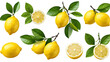 Capture the freshness of ripe lemons on branches against a transparent background. Perfect for food enthusiasts and culinary designs.