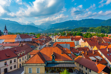Wall Mural - Aerial view of Slovenian town Kamnik
