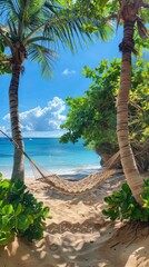 Hammock Between Two Palm Trees on Tropical Beach